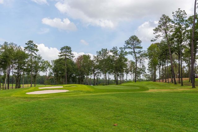 22127 Prater Ridge Lane, Porter, TX 77365