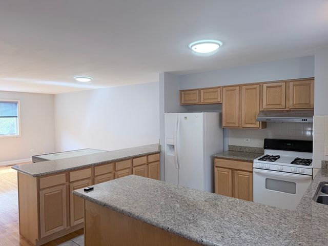 1951 S Wells Street 1, Chicago, IL 60616