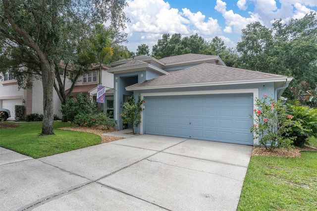 10232 WOODFORD BRIDGE STREET, Tampa, FL 33626