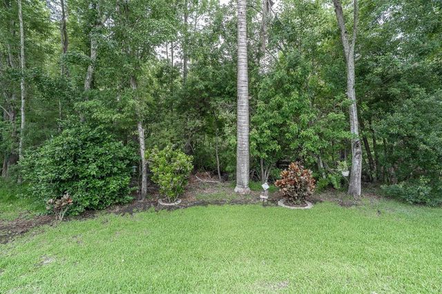 10232 WOODFORD BRIDGE STREET, Tampa, FL 33626