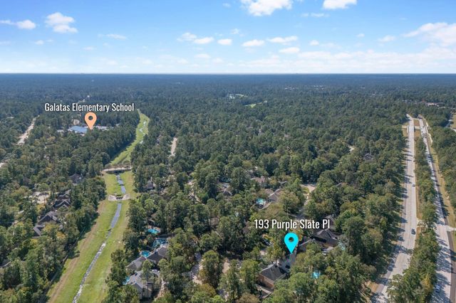 193 Purple Slate Place, The Woodlands, TX 77381