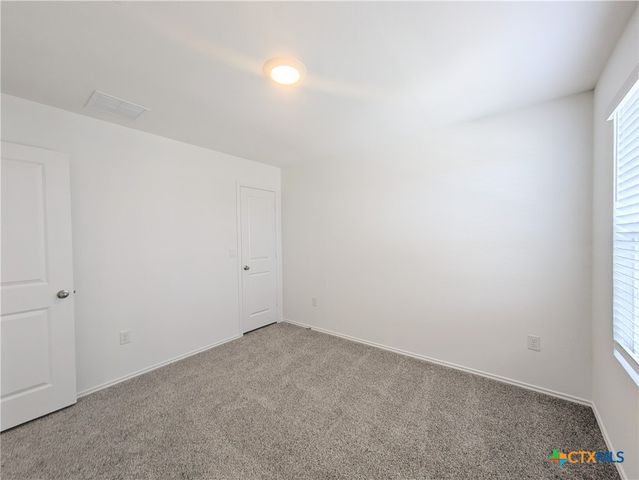 12109 Monarch Wing Drive, Buda, TX 78610