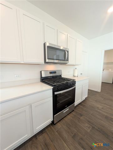 12109 Monarch Wing Drive, Buda, TX 78610