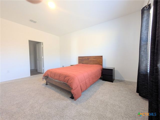 12109 Monarch Wing Drive, Buda, TX 78610