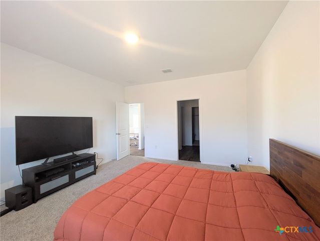 12109 Monarch Wing Drive, Buda, TX 78610