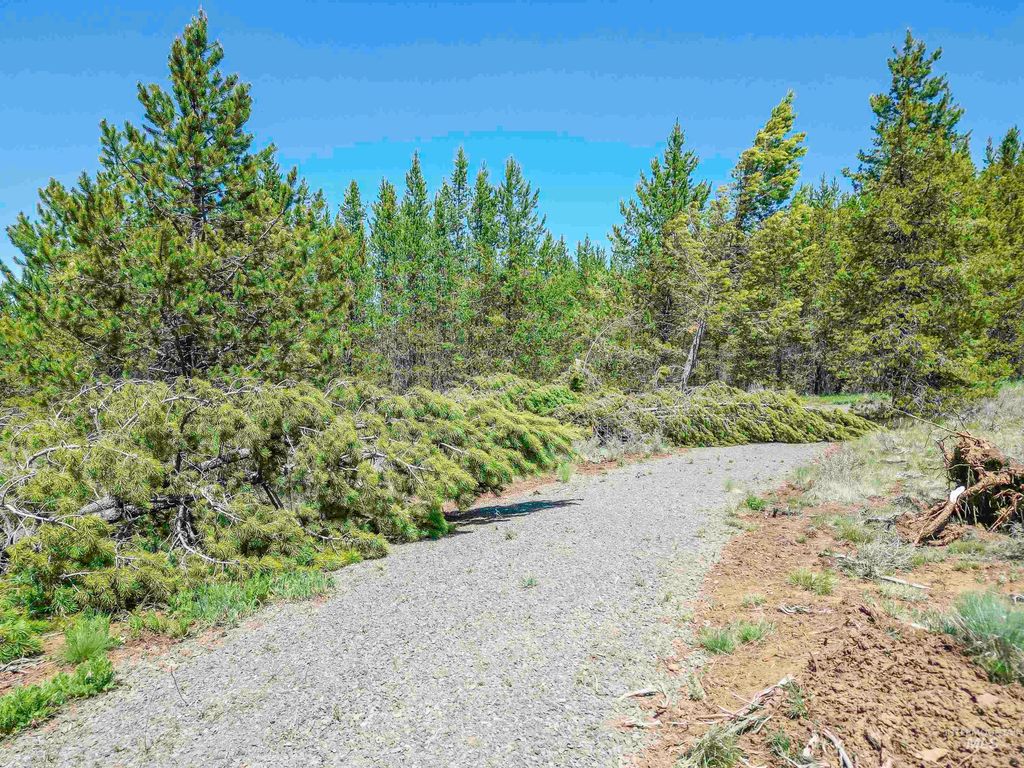 TBD Deer Creek, Winchester, ID 83555 photo 10