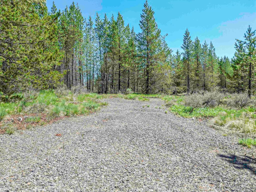 TBD Deer Creek, Winchester, ID 83555 photo 11