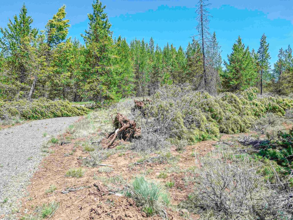 TBD Deer Creek, Winchester, ID 83555 photo 13