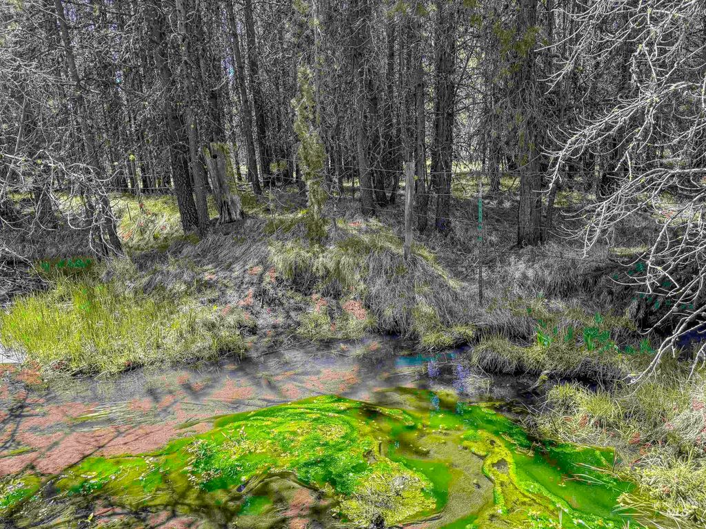 TBD Deer Creek, Winchester, ID 83555 photo 14