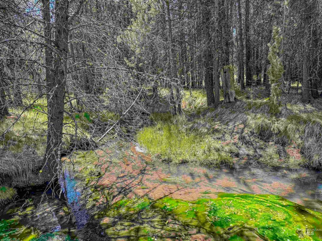 TBD Deer Creek, Winchester, ID 83555 photo 15