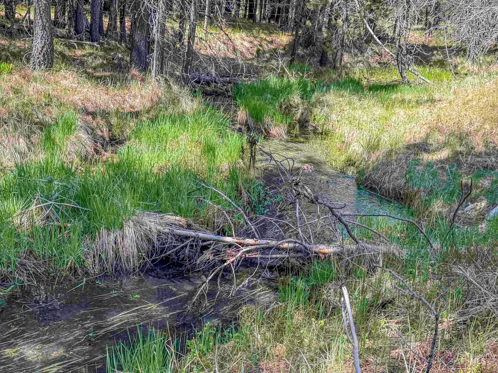 TBD Deer Creek, Winchester, ID 83555 photo 16