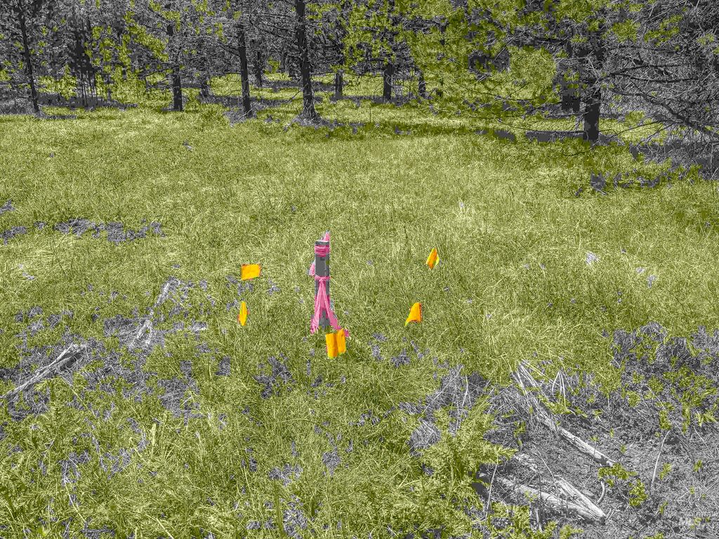 TBD Deer Creek, Winchester, ID 83555 photo 18