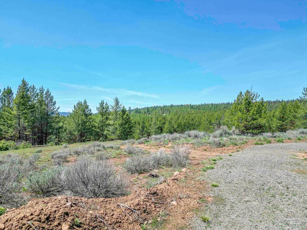 TBD Deer Creek, Winchester, ID 83555 photo 20