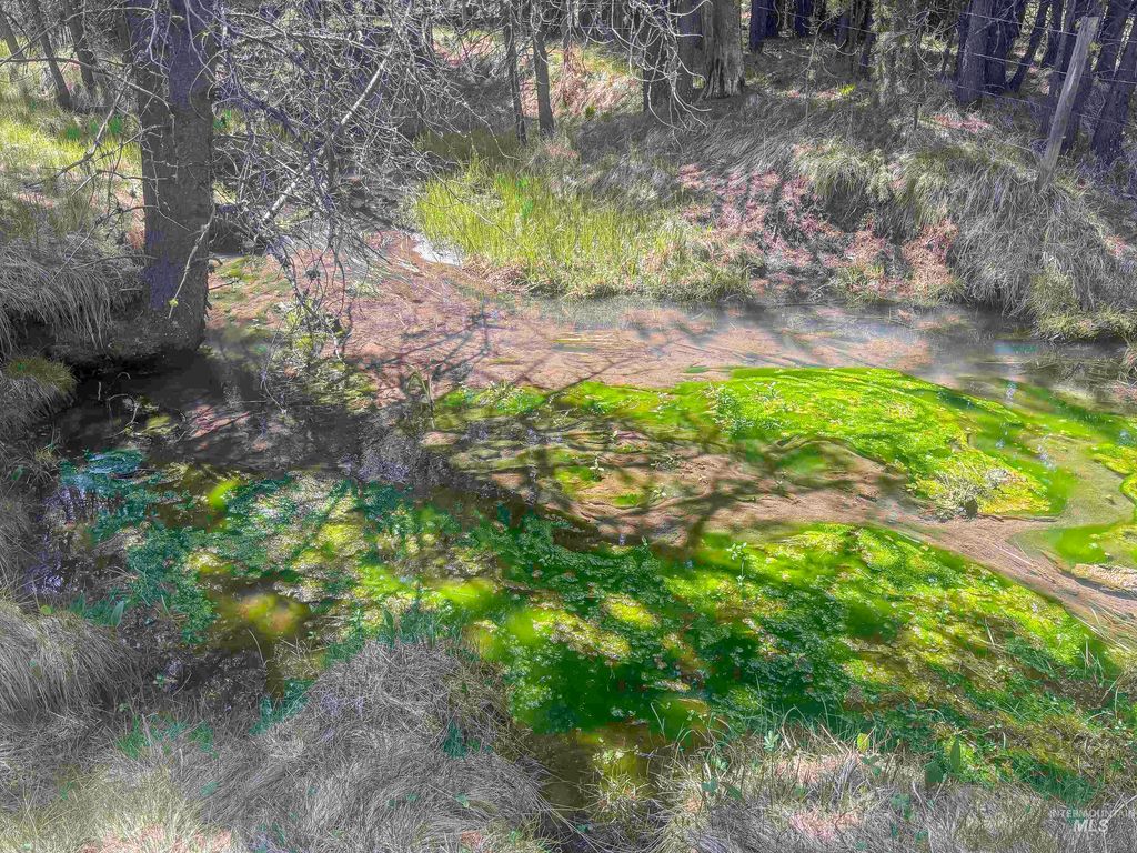 TBD Deer Creek, Winchester, ID 83555 photo 21