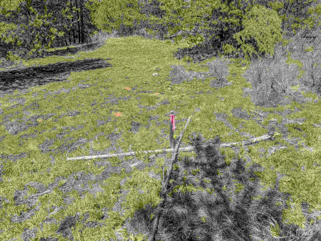 TBD Deer Creek, Winchester, ID 83555 photo 22