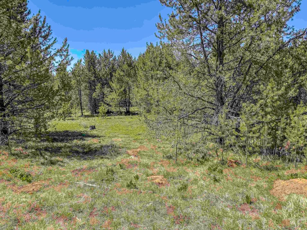 TBD Deer Creek, Winchester, ID 83555 photo 23