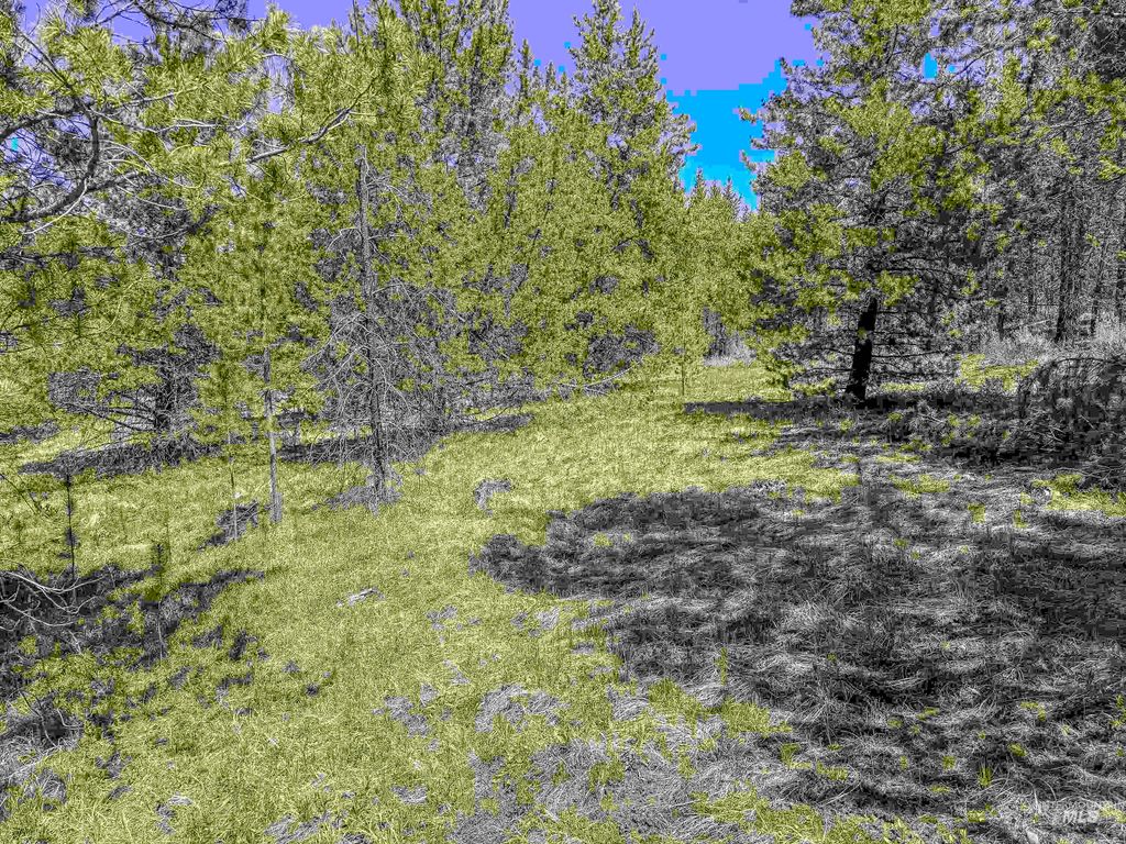 TBD Deer Creek, Winchester, ID 83555 photo 24