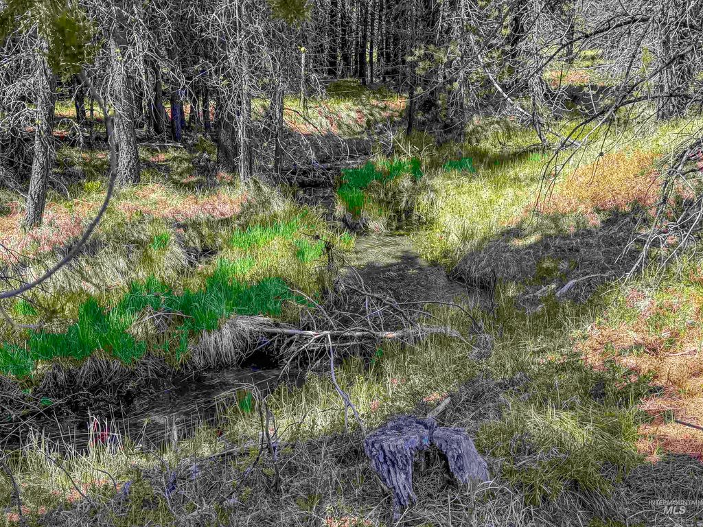 TBD Deer Creek, Winchester, ID 83555 photo 25