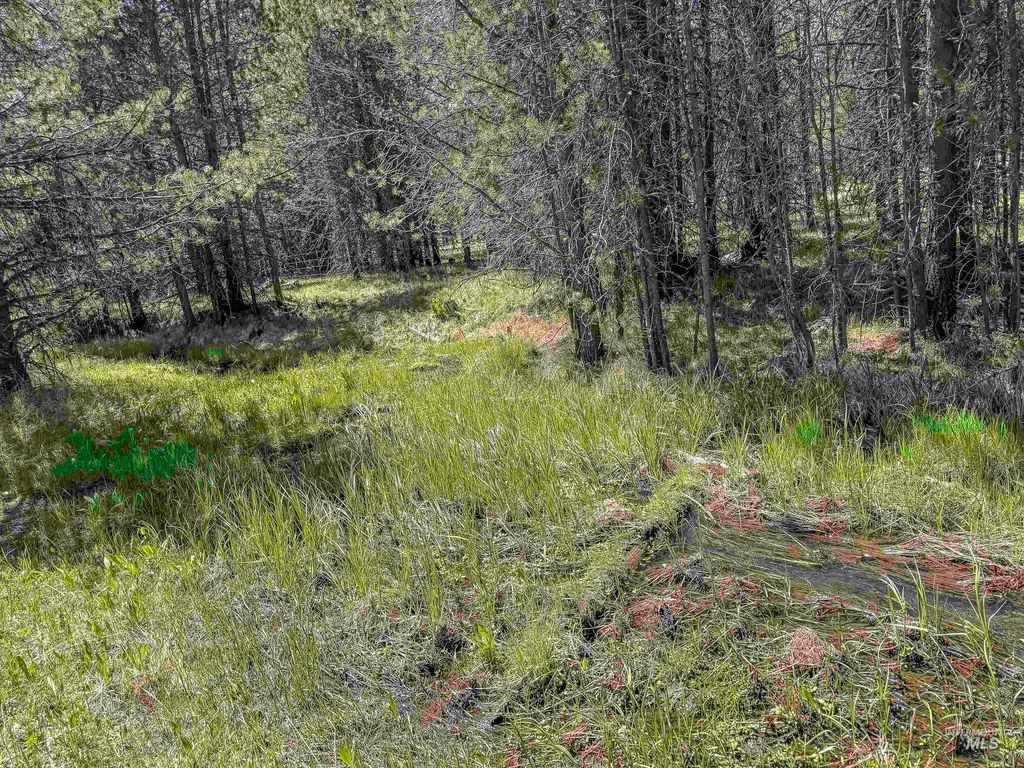 TBD Deer Creek, Winchester, ID 83555 photo 26