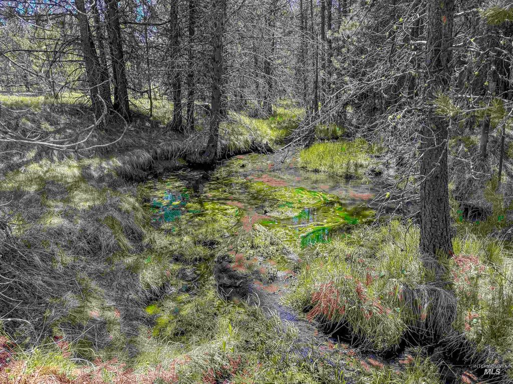TBD Deer Creek, Winchester, ID 83555 photo 28
