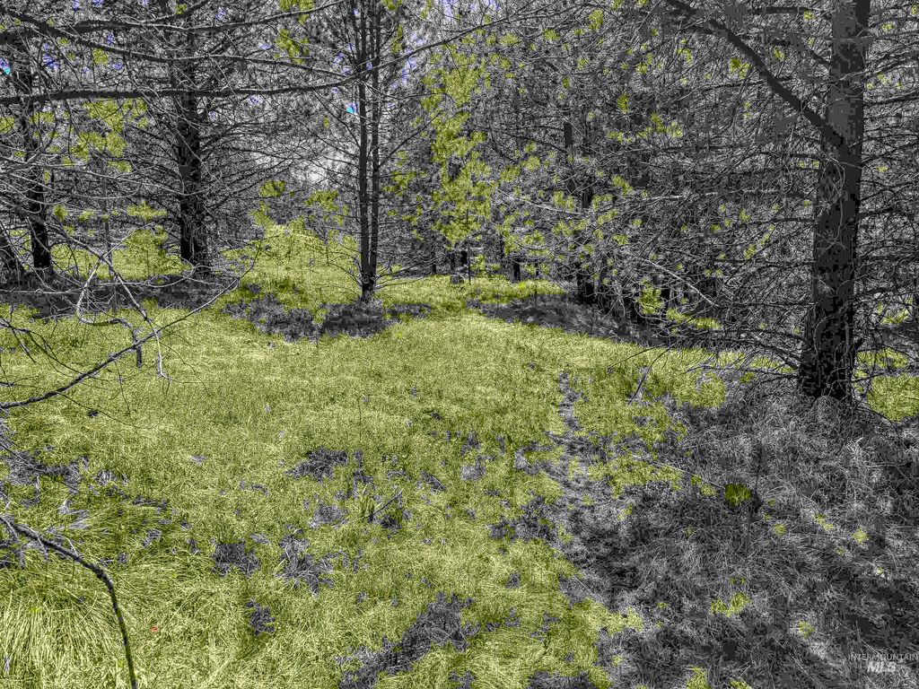 TBD Deer Creek, Winchester, ID 83555 photo 29