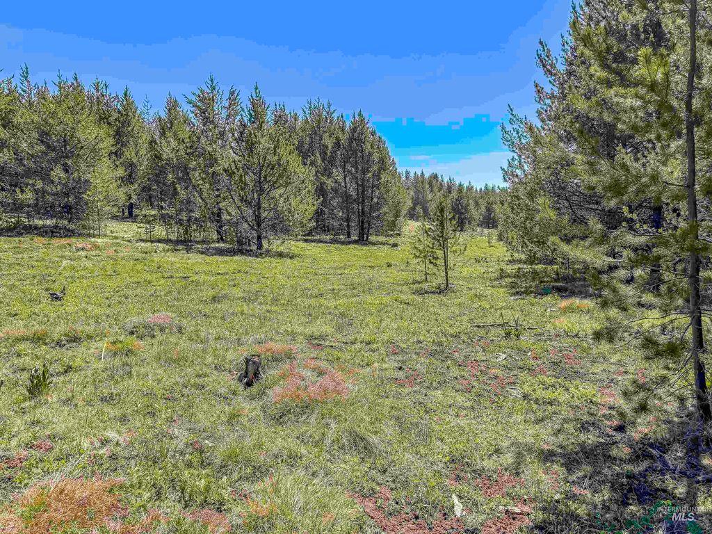 TBD Deer Creek, Winchester, ID 83555 photo 33