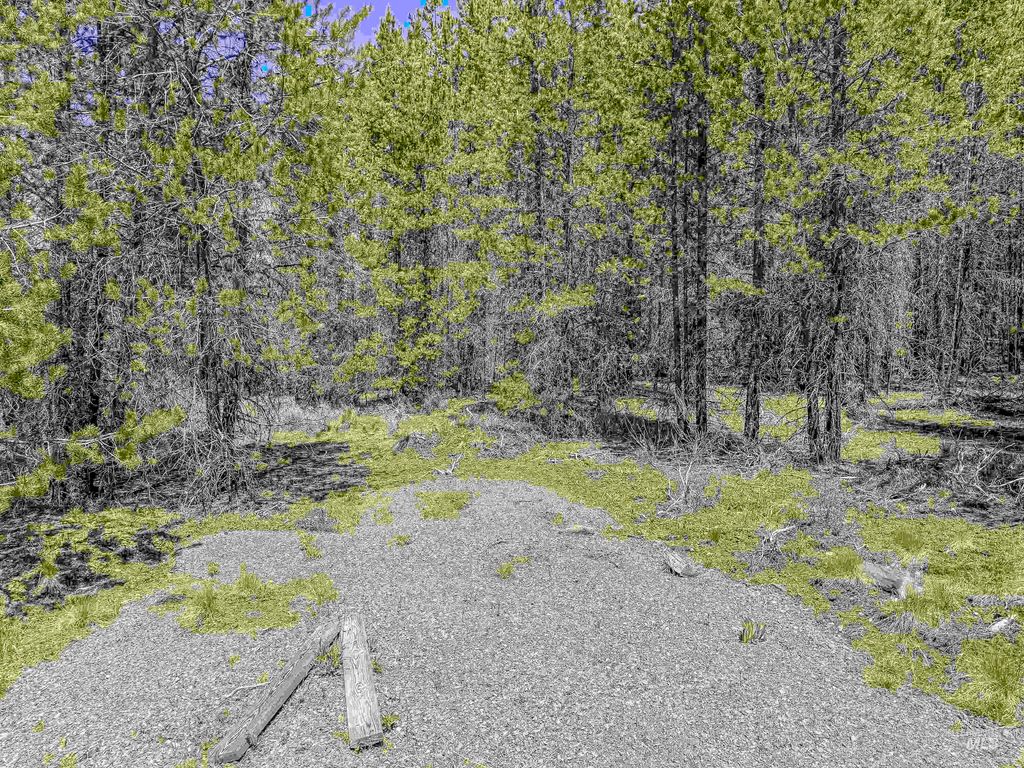 TBD Deer Creek, Winchester, ID 83555 photo 36