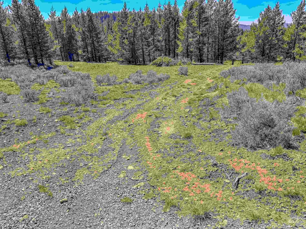 TBD Deer Creek, Winchester, ID 83555 photo 37