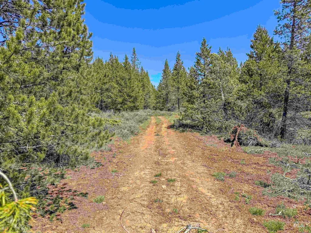 TBD Deer Creek, Winchester, ID 83555 photo 38
