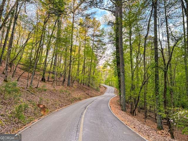 7 Addle Court, Ellijay, GA 30540
