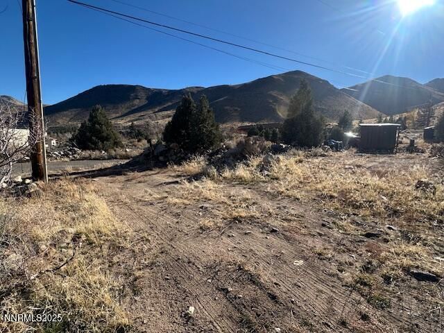 356 Western Drive, Coleville, CA 96107