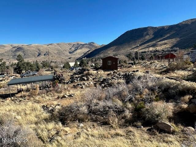 356 Western Drive, Coleville, CA 96107