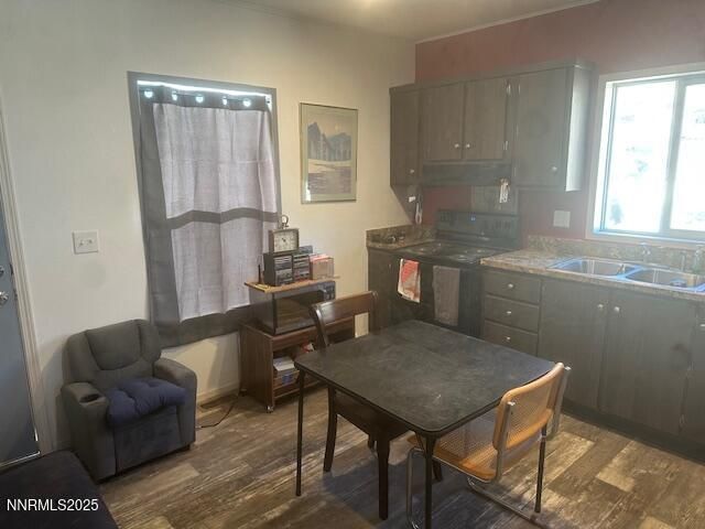 356 Western Drive, Coleville, CA 96107