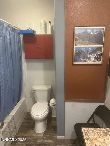 356 Western Drive, Coleville, CA 96107