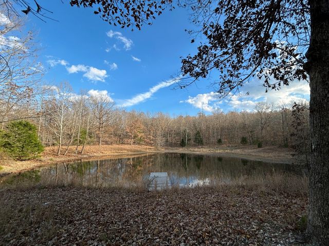 2483 County Road 314, Alton, MO 65606