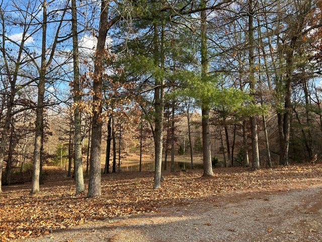 2483 County Road 314, Alton, MO 65606