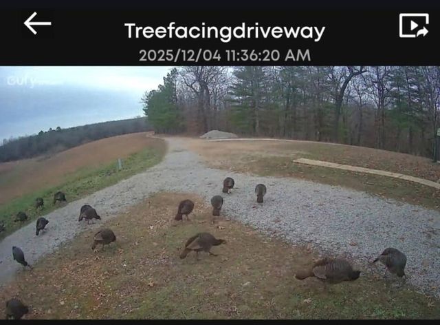 2483 County Road 314, Alton, MO 65606