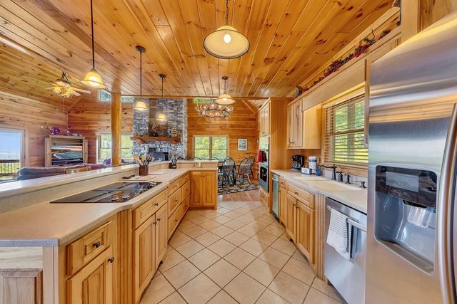 499 Raven Ridge Circle, Mineral Bluff, GA 30559
