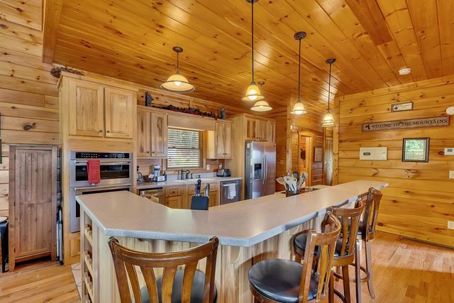 499 Raven Ridge Circle, Mineral Bluff, GA 30559