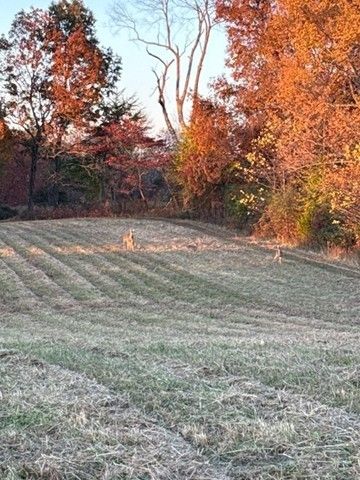 539 Womack Rd, Bethpage, TN 37022