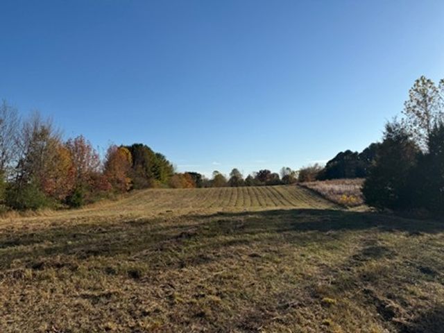 539 Womack Rd, Bethpage, TN 37022