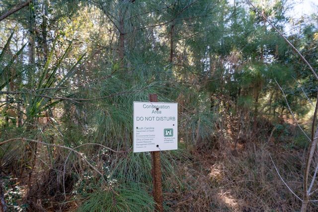 934 Fish Camp Road, Charleston, SC 29492