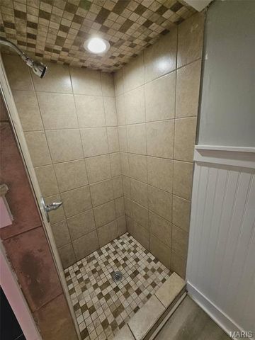 401 N Franklin Street, Farmington, MO 63640