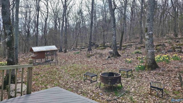 600 Lewis Mountain Road, New Market, AL 35761