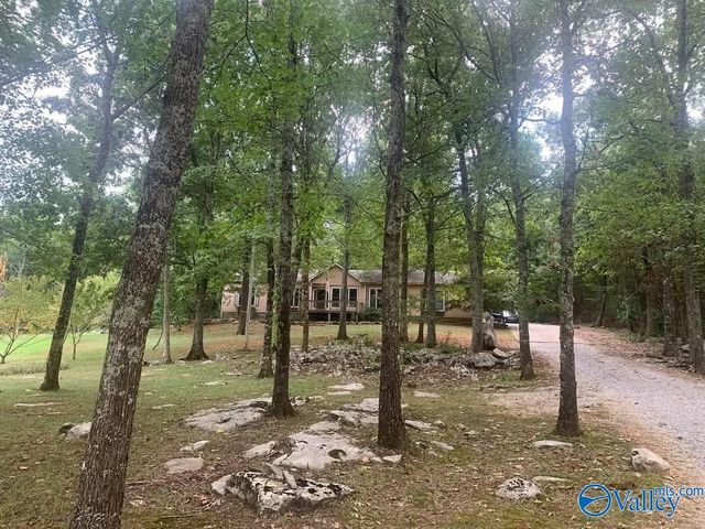 600 Lewis Mountain Road, New Market, AL 35761