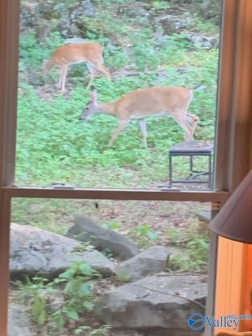 600 Lewis Mountain Road, New Market, AL 35761