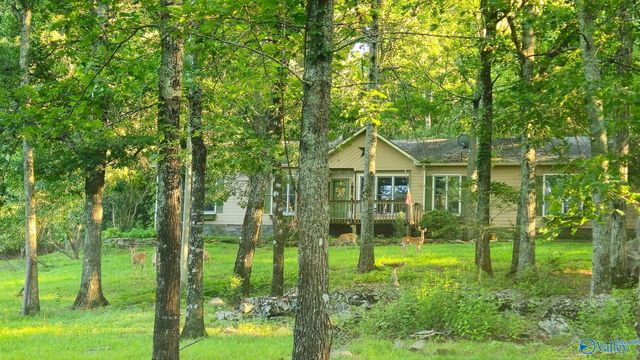 600 Lewis Mountain Road, New Market, AL 35761