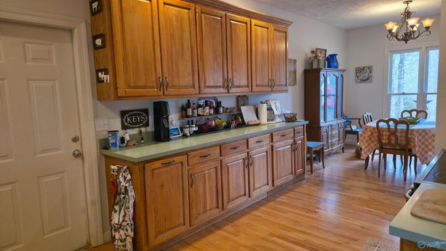 600 Lewis Mountain Road, New Market, AL 35761