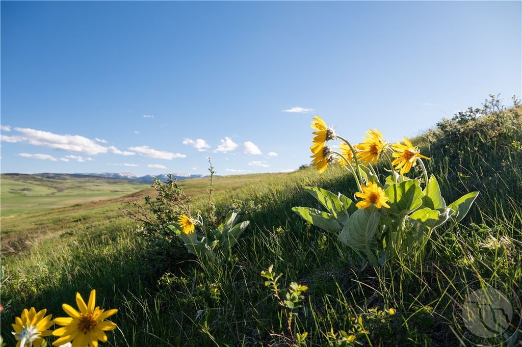 2887 Piper Cutoff S, Lewistown, MT 59457 photo 21