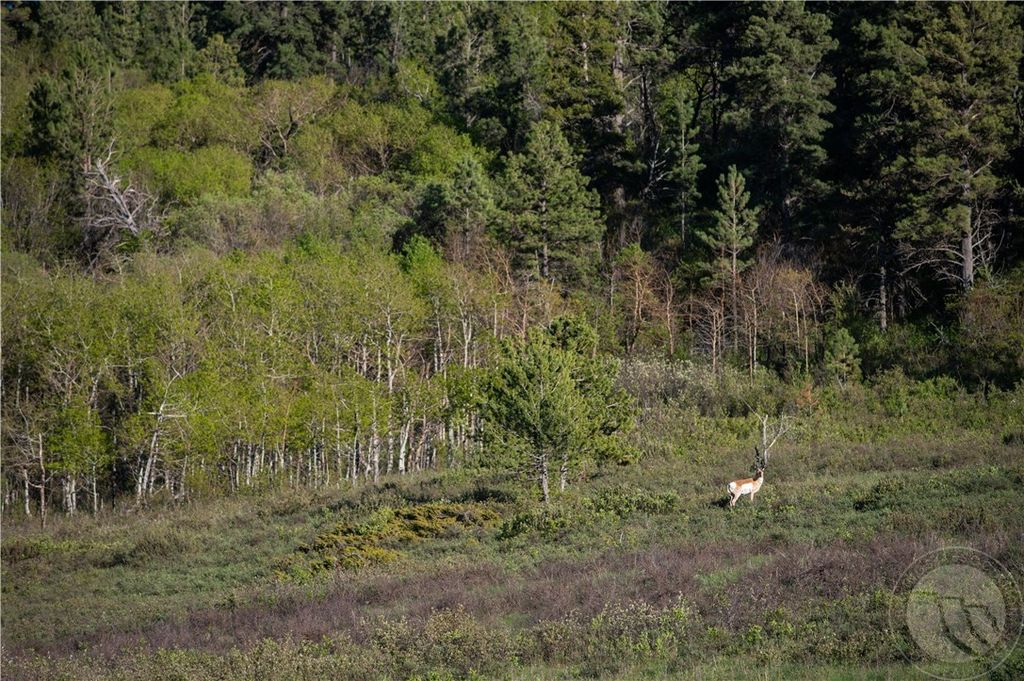 2887 Piper Cutoff S, Lewistown, MT 59457 photo 35